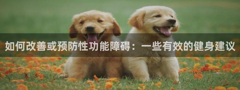 意昂4官方网站