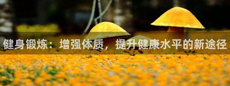 意昂4娱乐