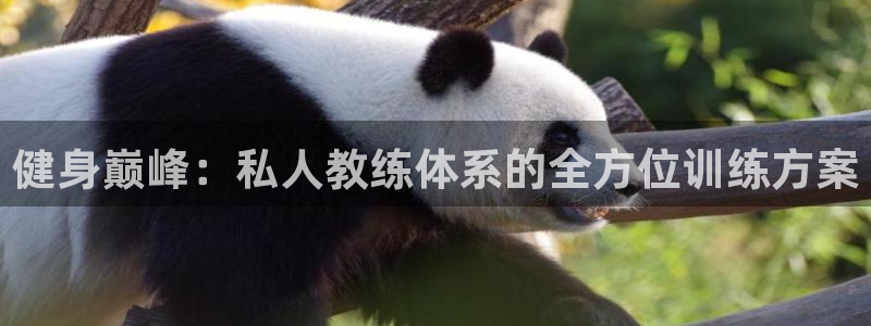 意昂4官方平台
