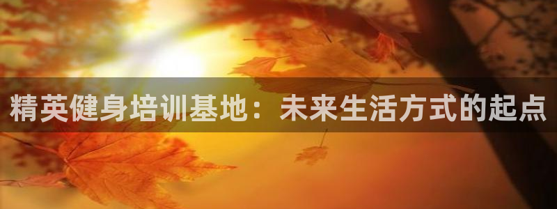 意昂4官方网站