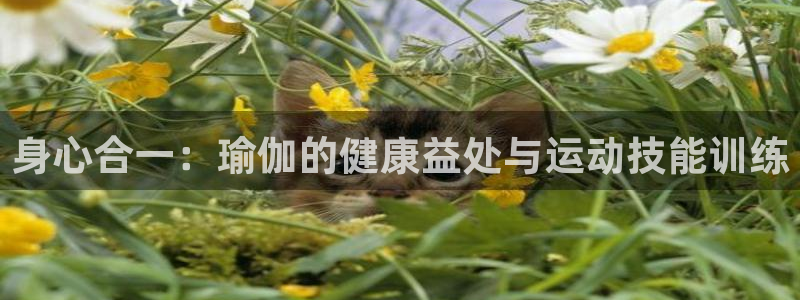 意昂4招商