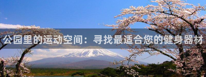 意昂4注册
