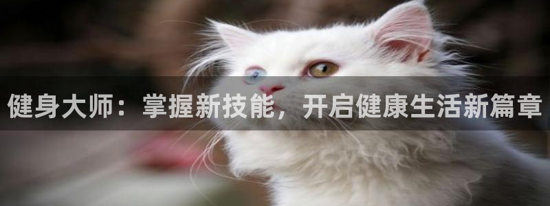 意昂4官方网站