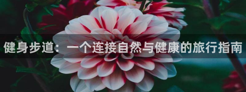 意昂4招商