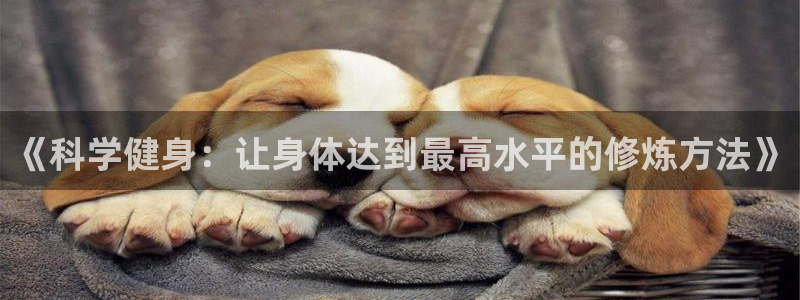 意昂4登录