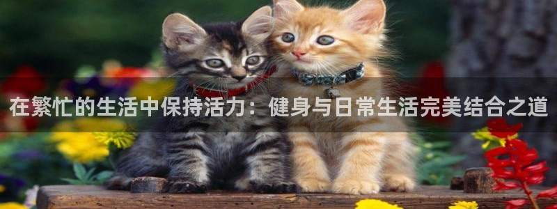 意昂4登录