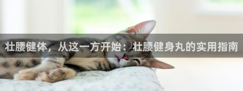 意昂4代理